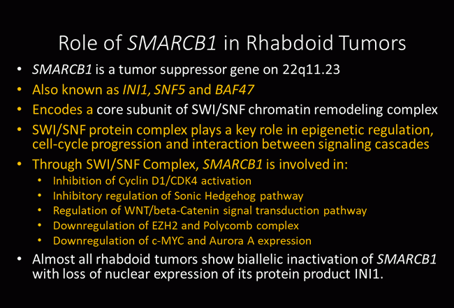 SMARCB1 in Rhabdoid Tumors_reduced.gif